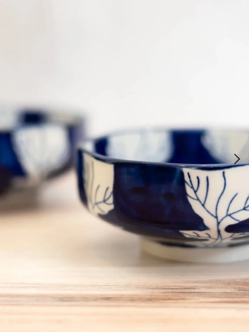 Hemingway Cat Bowls - Set of 2